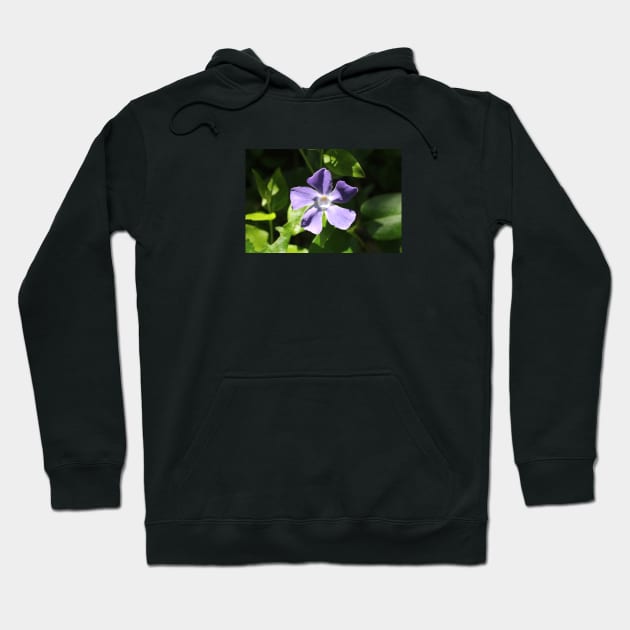 Periwinkle Flower Photograph Hoodie by Battlefoxx Living Earth